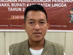 Aplikasi Sirekap Terkendala, Ada Beberapa Desa di Lingga Belum Terjangkau Jaringan Internet