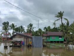 BMKG Imbau Waspada Banjir Rob di Kabupaten Lingga