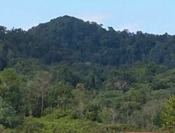 Gunung Bidai: Simbol Budaya dan Spiritualitas bagi Orang Melayu Sekanak