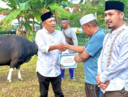 Gerindra Kepri Salurkan Hewan Kurban di Dabo Singkep: Iman Sutiawan Gaungkan Semangat Kepedulian Sosial ala Presiden Prabowo