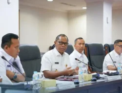 Proyek Smelter Bauksit Dabo Singkep Lanjut, Pemerintah Pastikan Seimbang antara Ekonomi dan Pertahanan